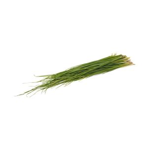 CEBOLLETA BOLSA 50 gr