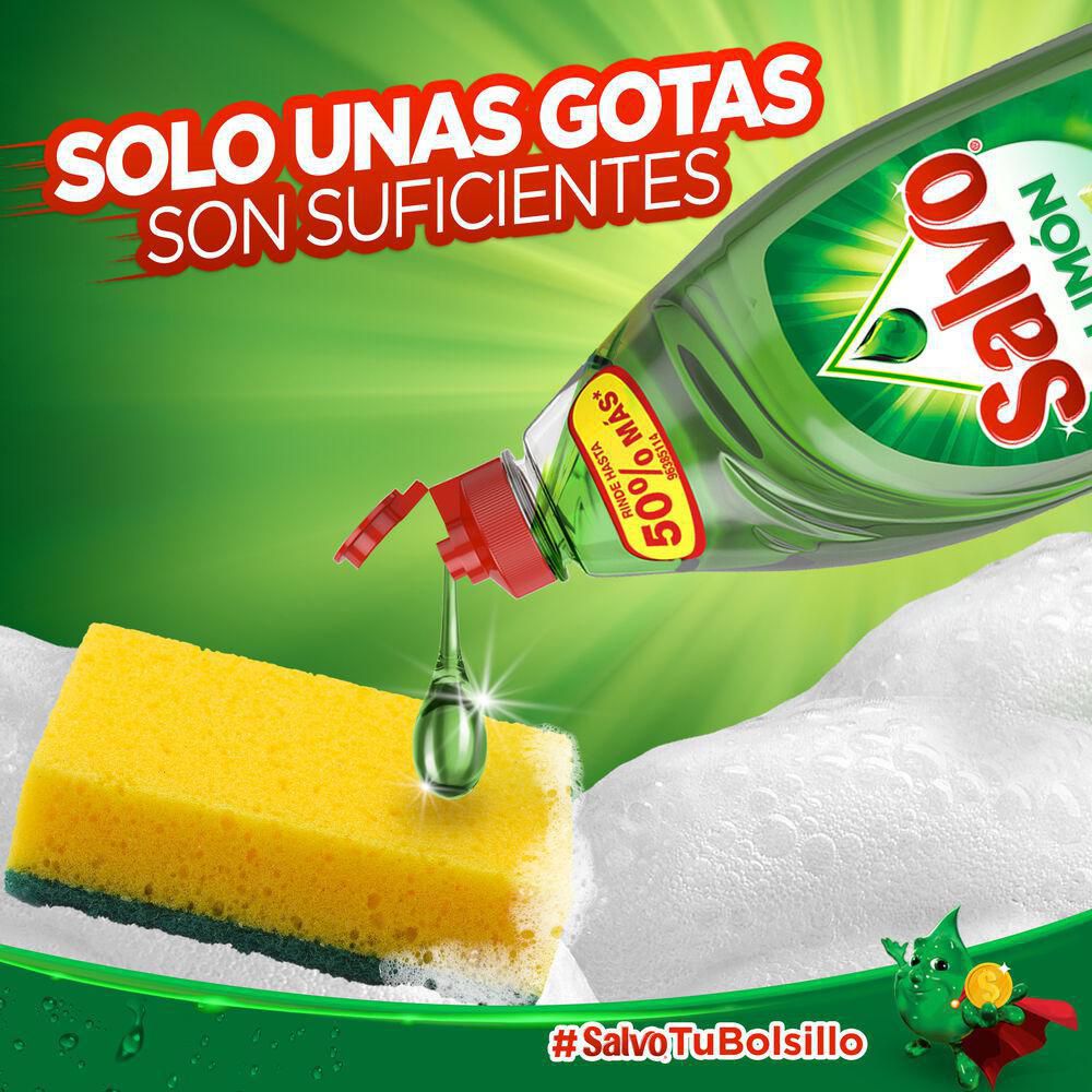 Lavaloza SALVO  (2600  ml) img #2