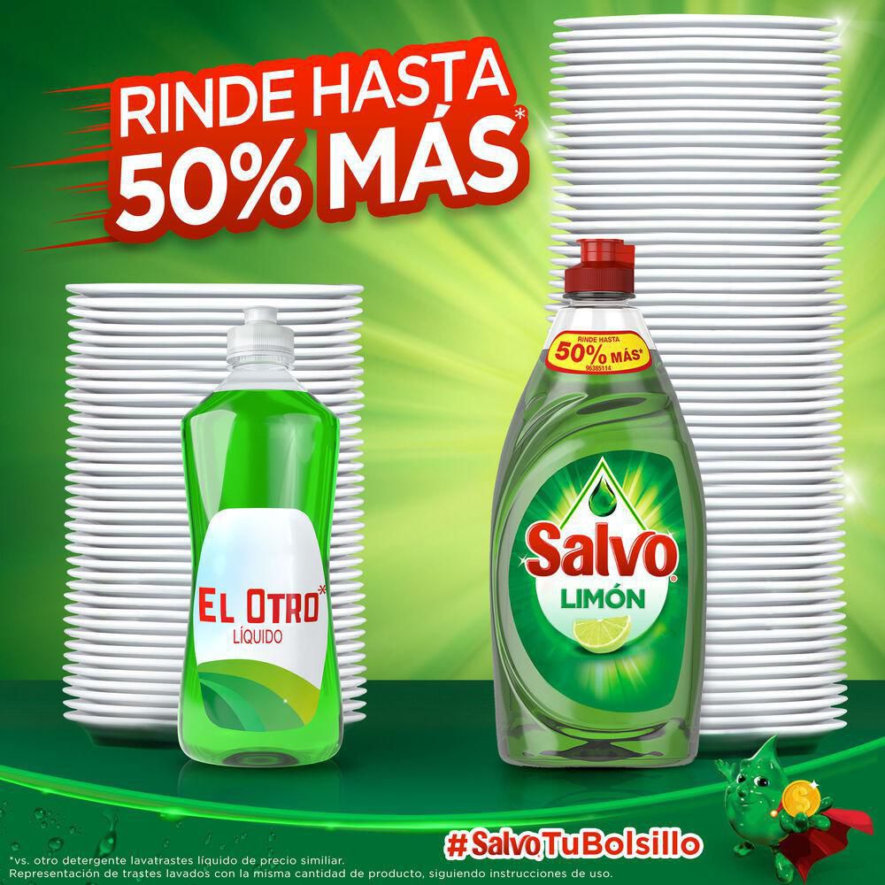 Lavaloza SALVO  (2600  ml) img #4