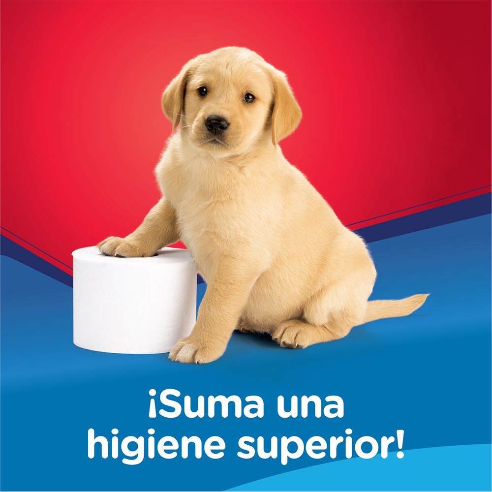 Papel higiénico SCOTT 12 rollos 3 hojas cuidado completo (333.6  mts) img #3