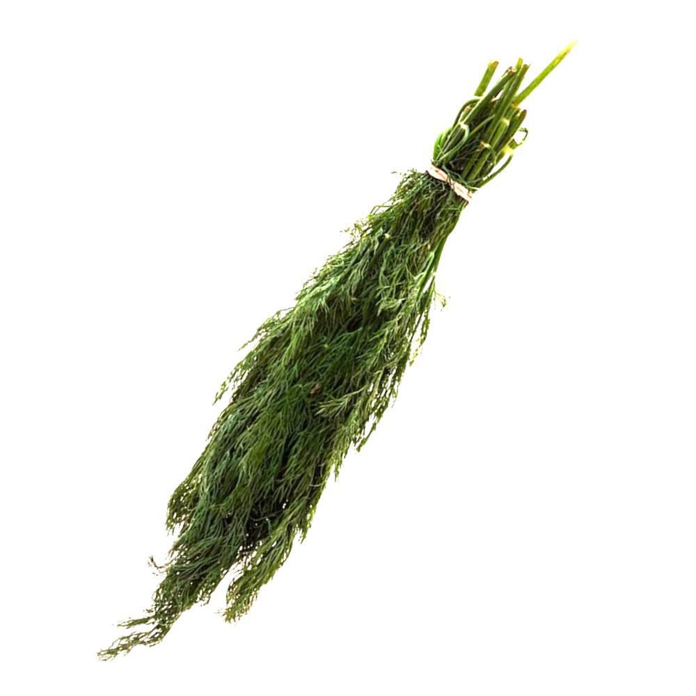 Eneldo Capuchón  50  gr img #1