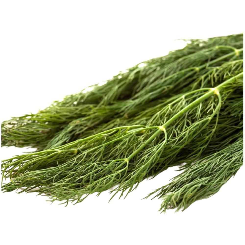 Eneldo Capuchón  50  gr img #2