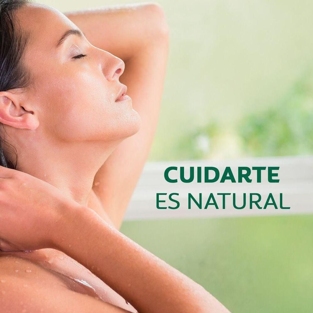 Jabón líquido para cuerpo PALMOLIVE sandía y lychee (390  ml) img #2