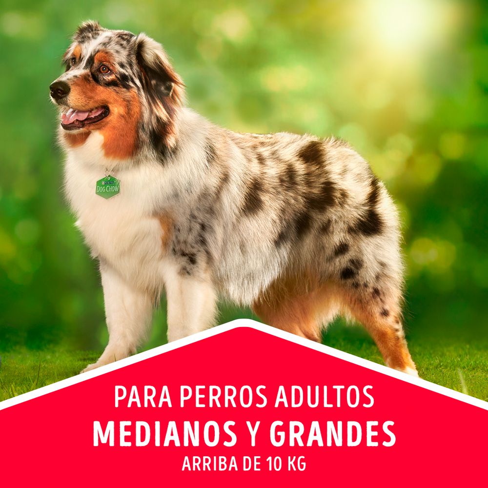 Alimento Perros Razas Medianas Y Grandes PURINA DOG CHOW 4000  gr img #6