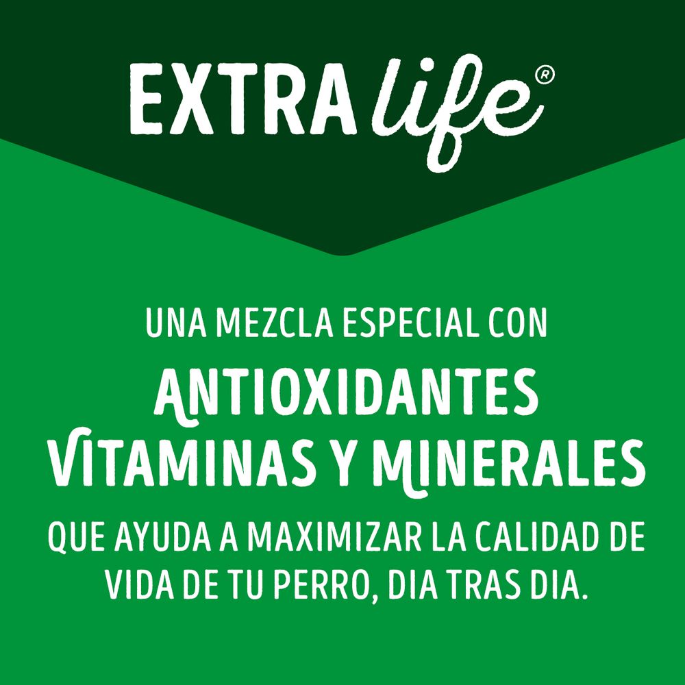 Alimento Perros Razas Medianas Y Grandes PURINA DOG CHOW 4000  gr img #8