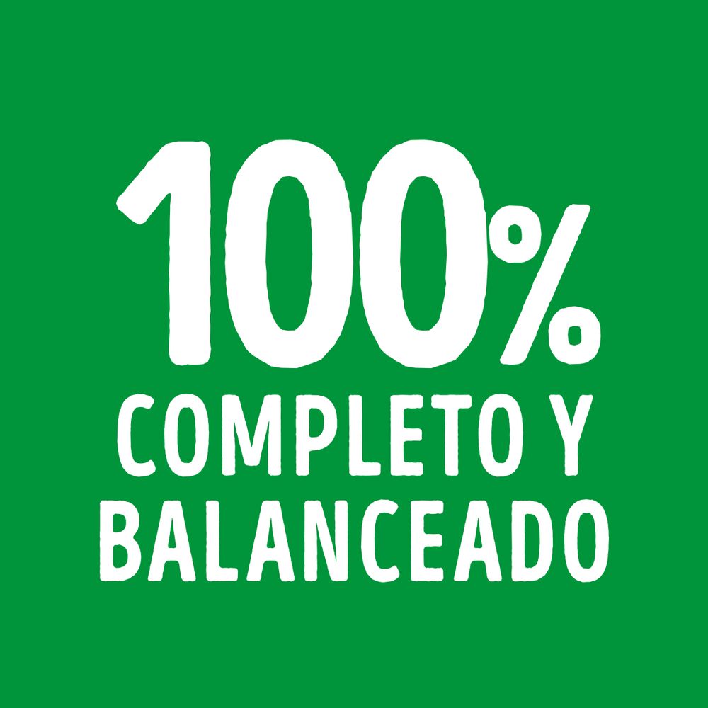 Alimento Humedo Pollo Cach PURINA DOG CHOW 100  gr img #8