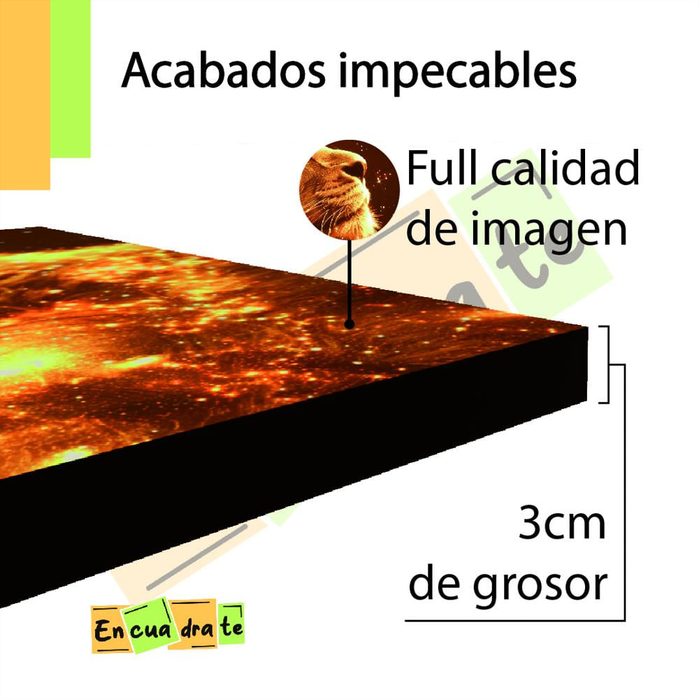Cuadro Retablo 3 Piezas León Con Estrellas 1 X 1 Mt. img #2