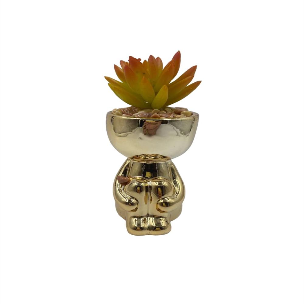 Suculenta Decorativa Matera Robert Plant Sentado Doradolf 117Dr img #1