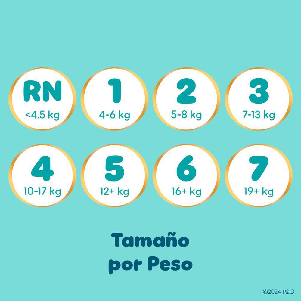 PAÑALES PAMPERS MARCA EXCLUSIVA  (32  und) img #6