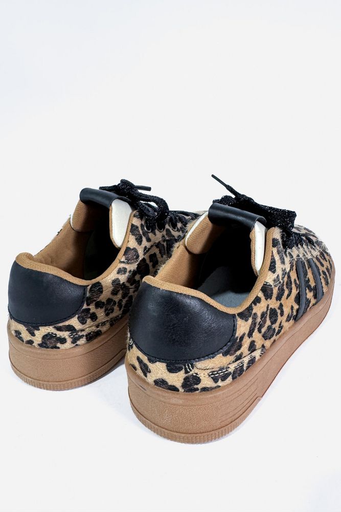 Tenis  ARKITECT img #3