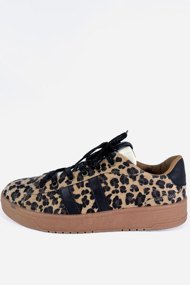 Tenis  ARKITECT img #4