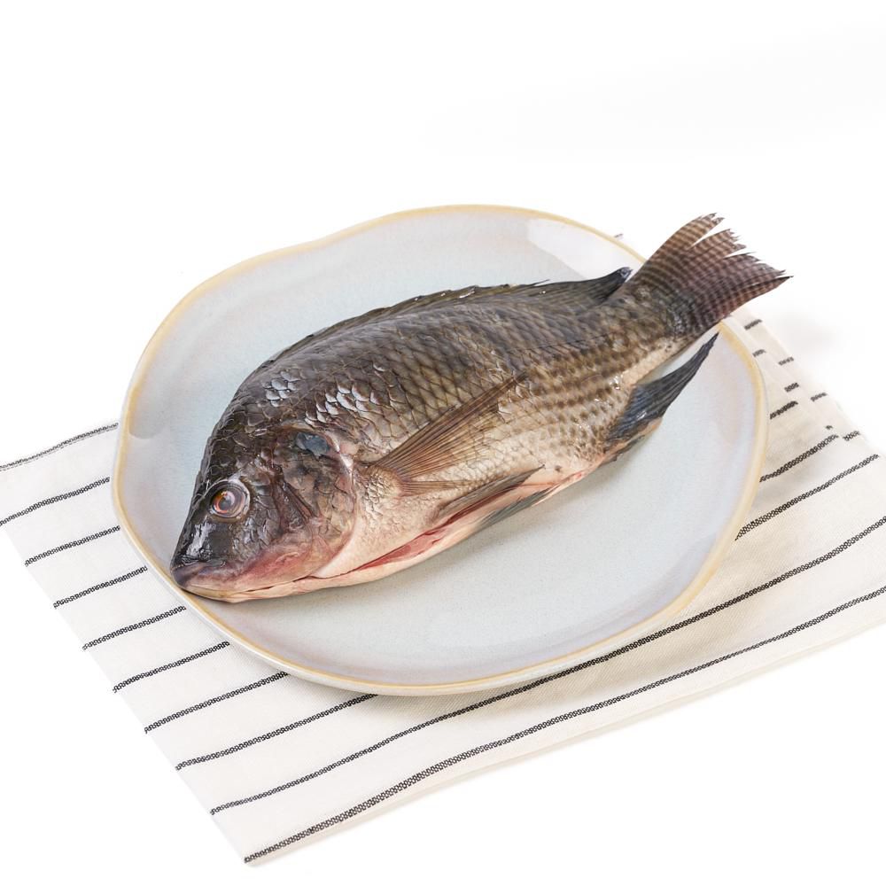 Mojarra o tilapia  lora plateada img #1