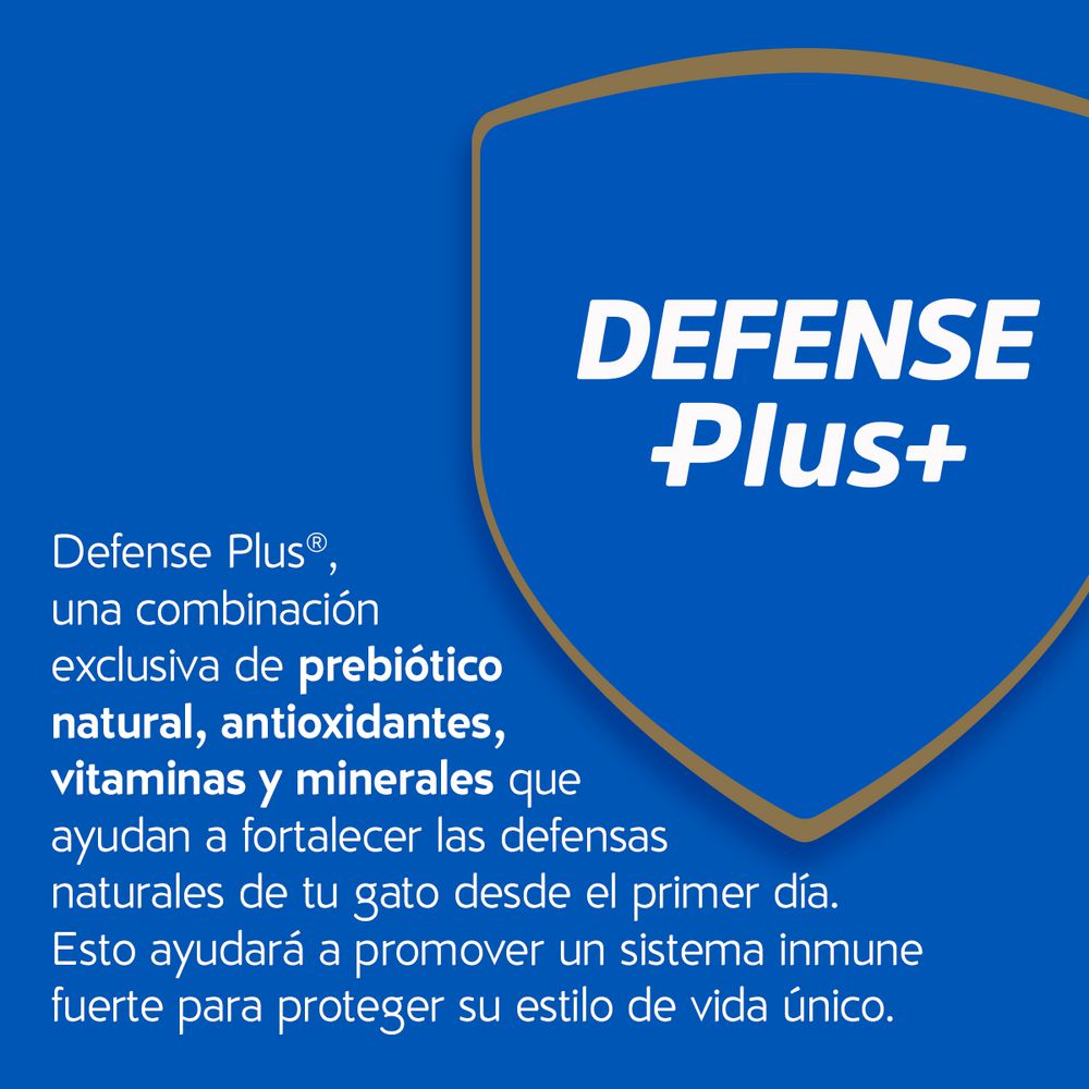 Comida para gatos PURINA CAT CHOW sabor salmón, atún y pescado blanco (500  gr) img #7