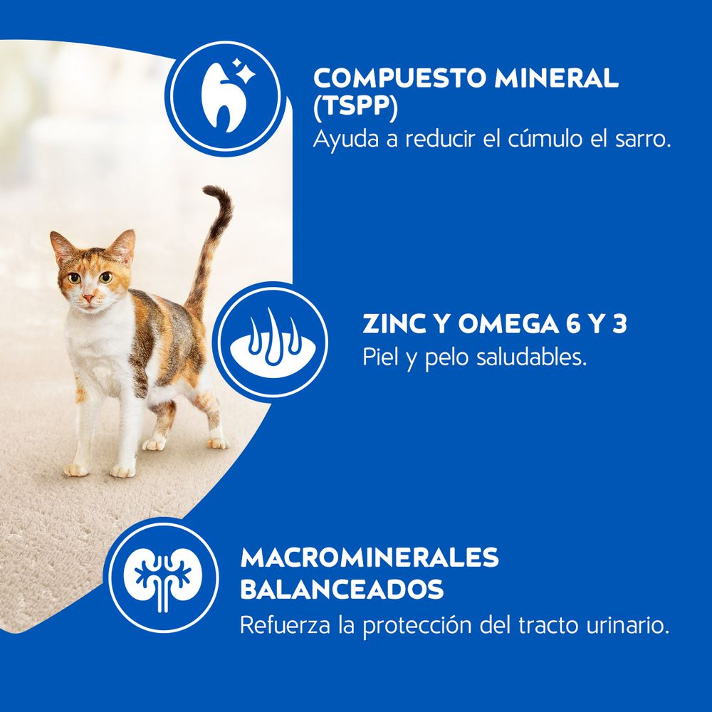 Alimento PURINA CAT CHOW Para Gato (500  gr) img #6