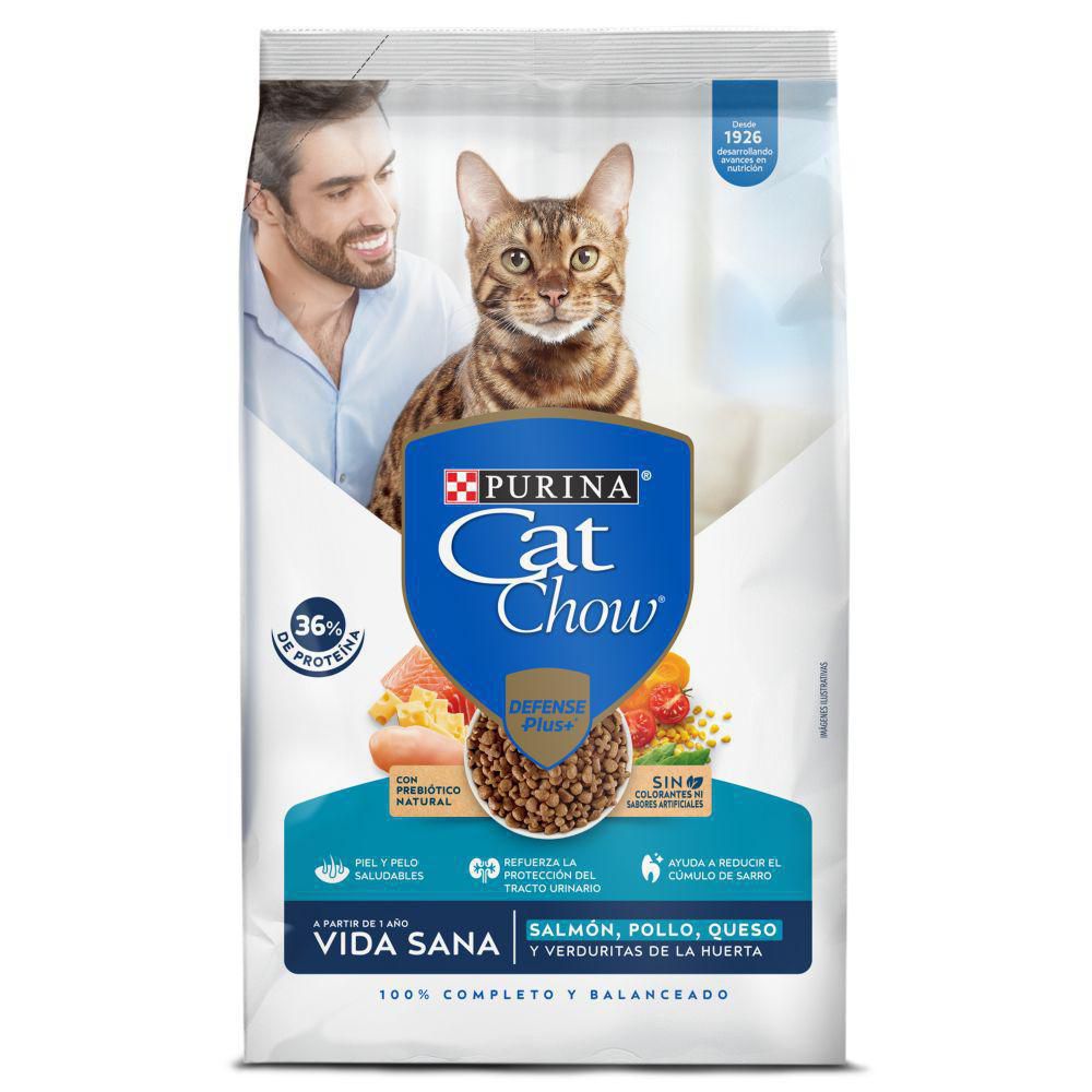 Comida para gatos PURINA CAT CHOW vida sana (450  gr) img #1