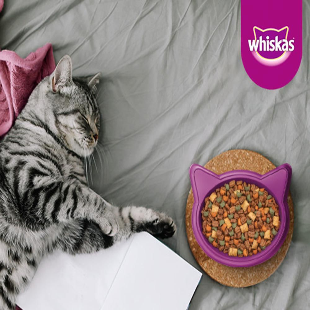 Alimento Gato WHISKAS  (1500  gr) img #4