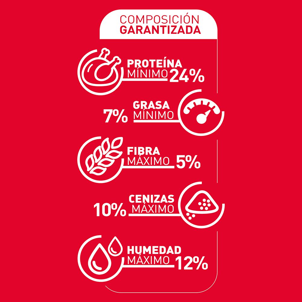 Alimento Perro RINGO  (2000  gr) img #4