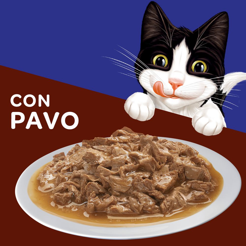 Comida húmeda para gatos FELIX pavo en salsa (85  gr) img #3