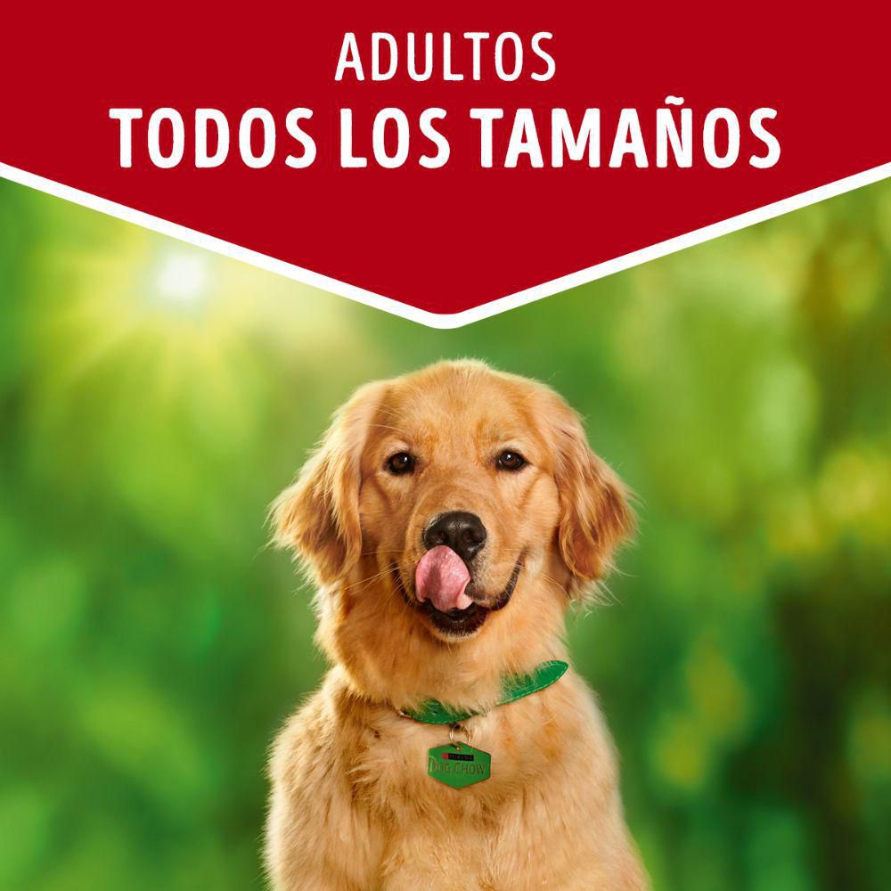 Comida húmeda para perro PURINA DOG CHOW todos los tamaños con carne (100  gr) img #3