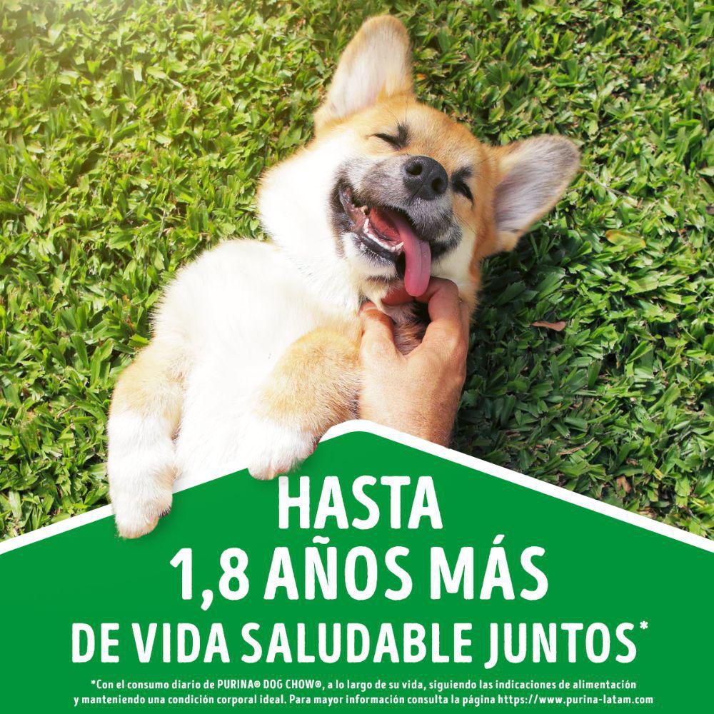 Comida húmeda para perro PURINA DOG CHOW todos los tamaños con carne (100  gr) img #4