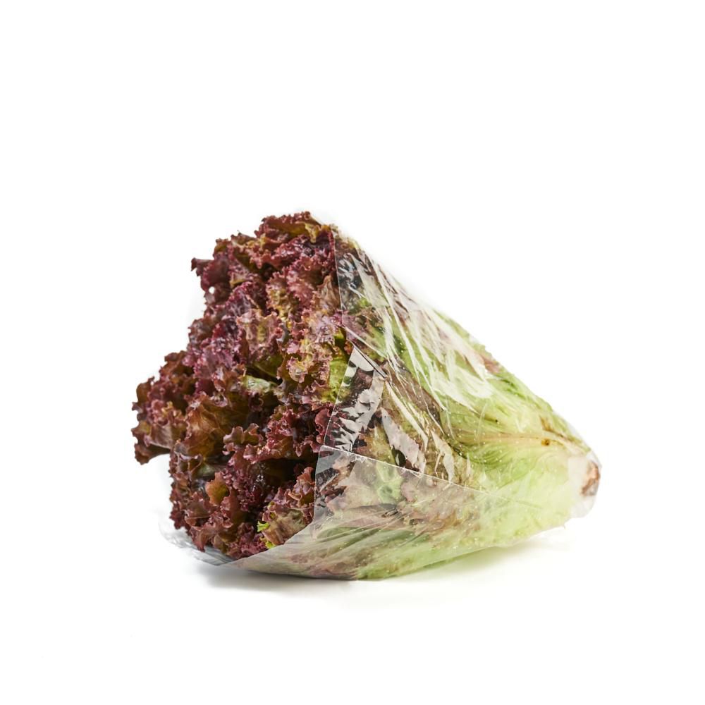 LECHUGA HIDROP. MORADA CRESPA  170  gr img #1