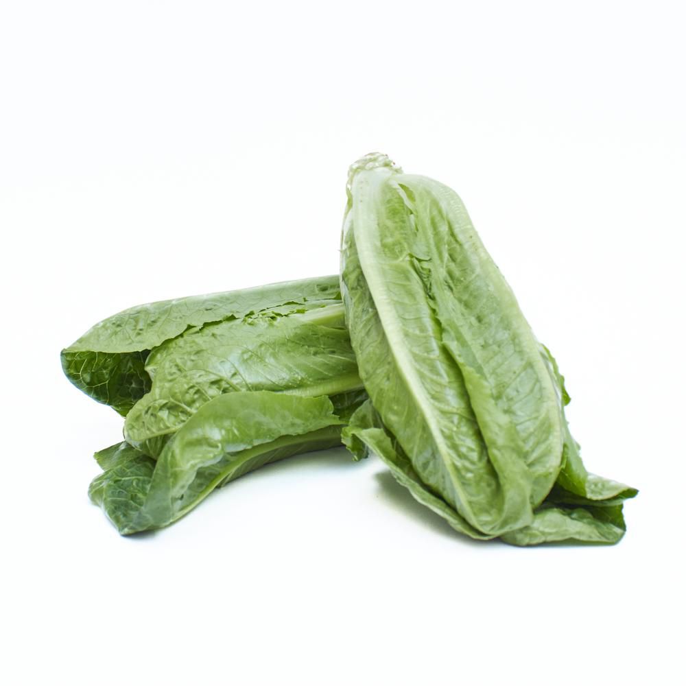 LECHUGA HIDROP. ROMANA  1  und img #1