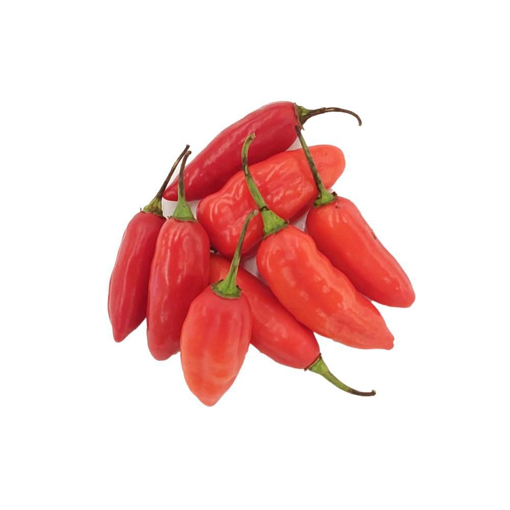 Aji Dulce  1  und img #1