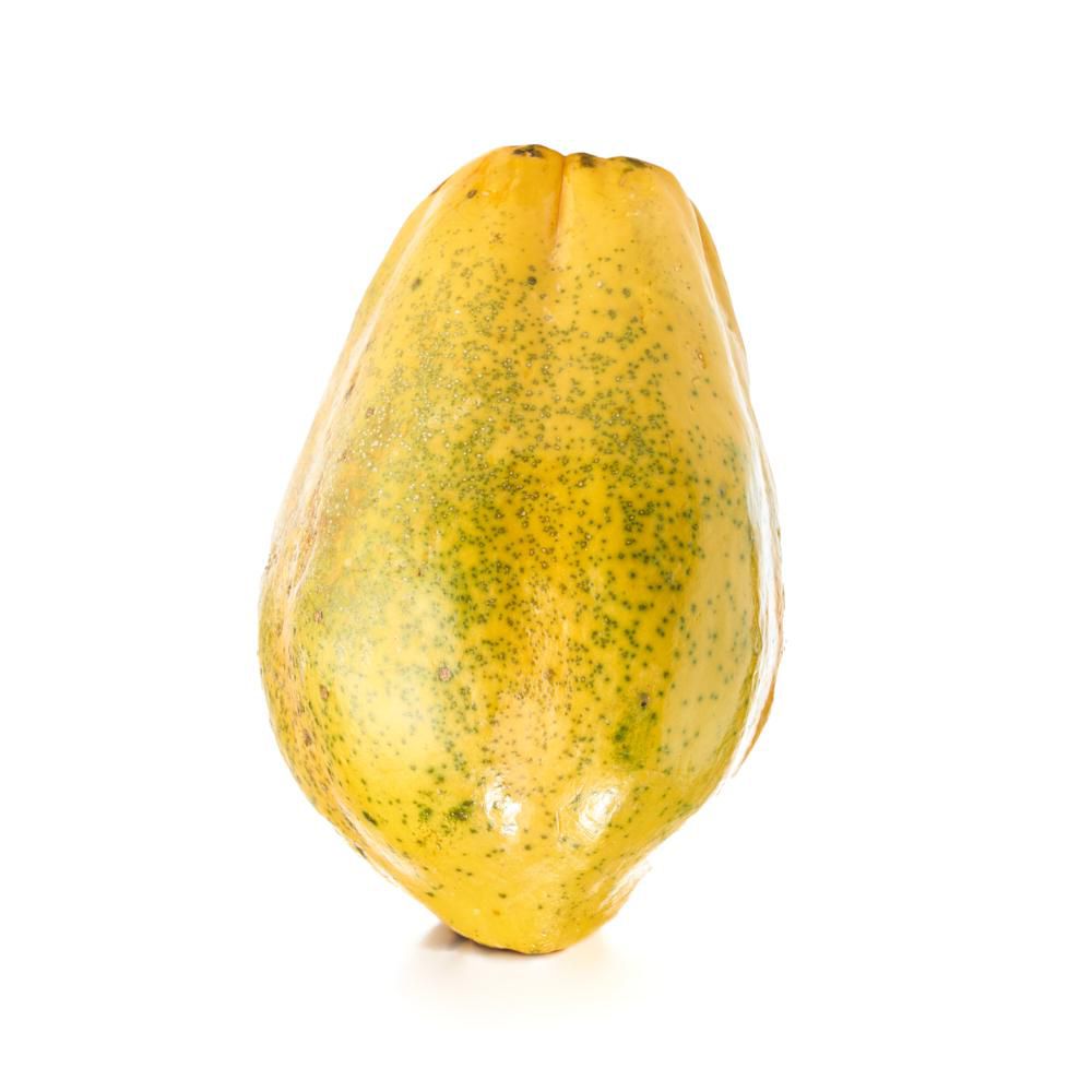 Papaya Und  1  und img #1