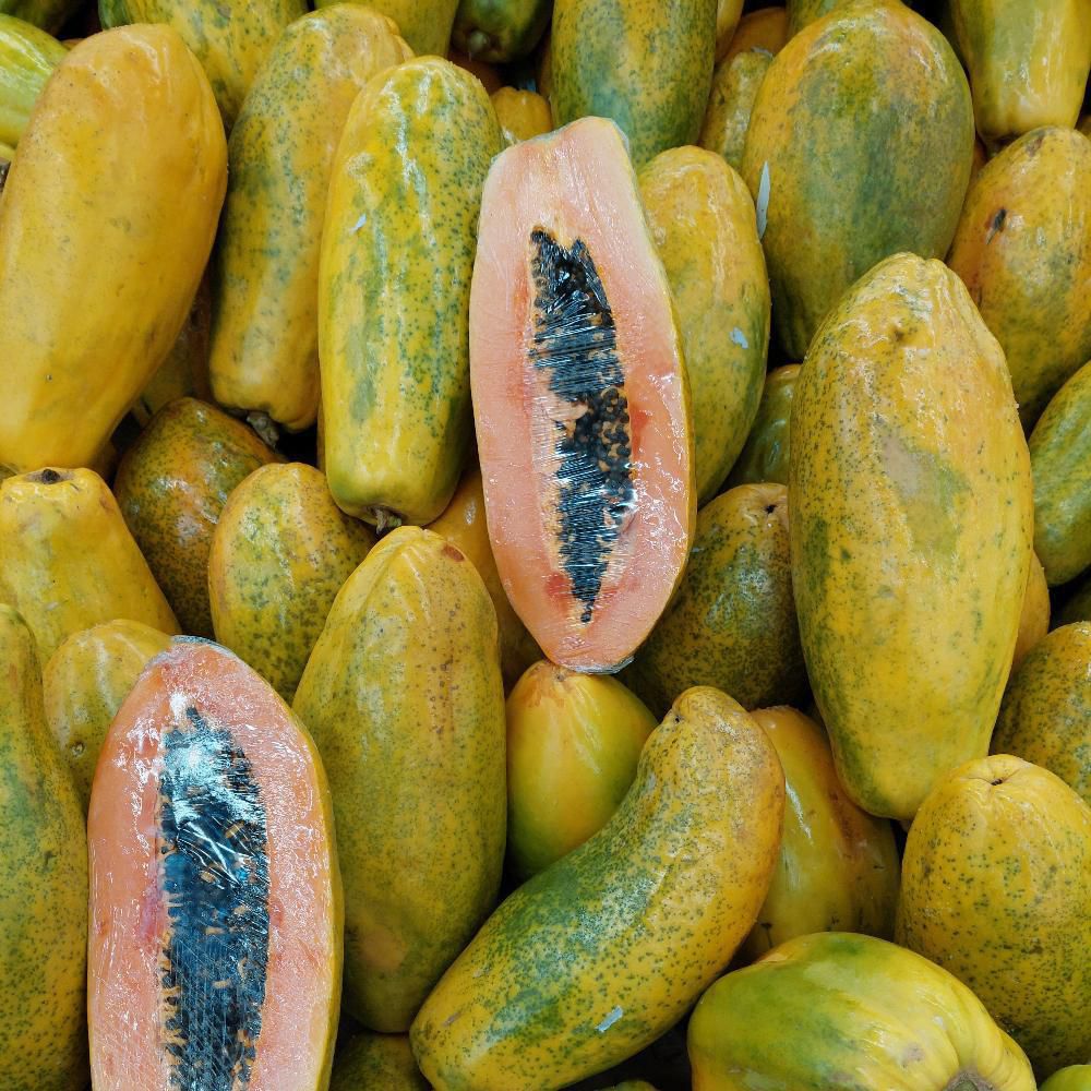 Papaya Und  1  und img #2