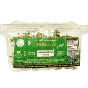 BROTES RUGULA 30 gr