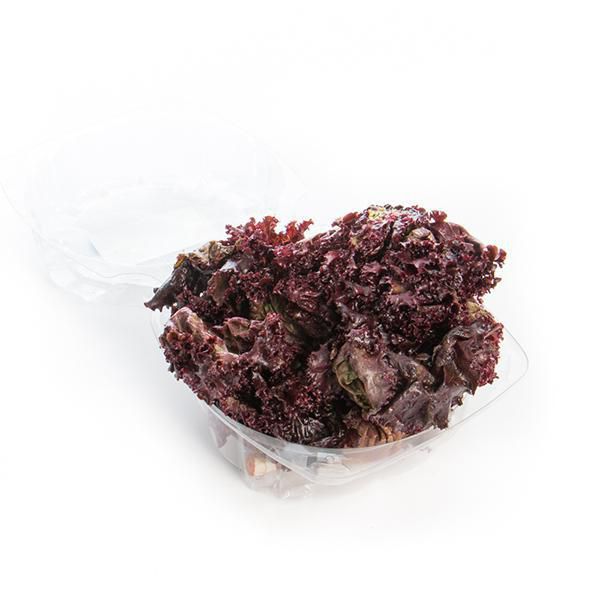 Lechuga Morada Crespa Pet  130  gr img #2
