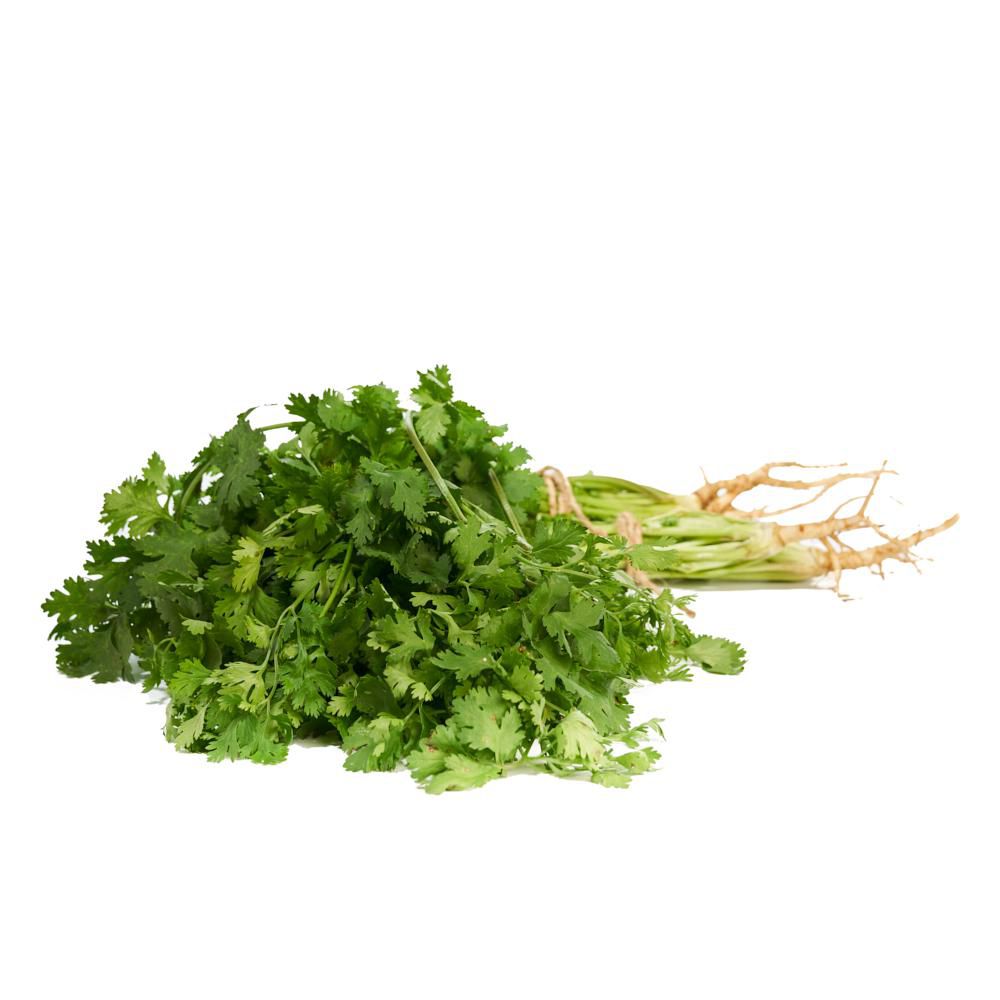 Cilantro Hidroponico  75  gr img #1