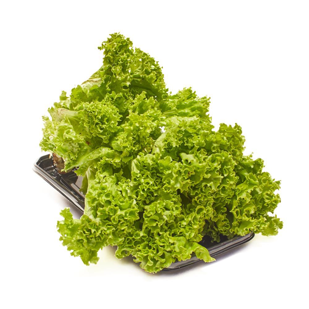 Lechuga Verde Crespa  150  gr img #1