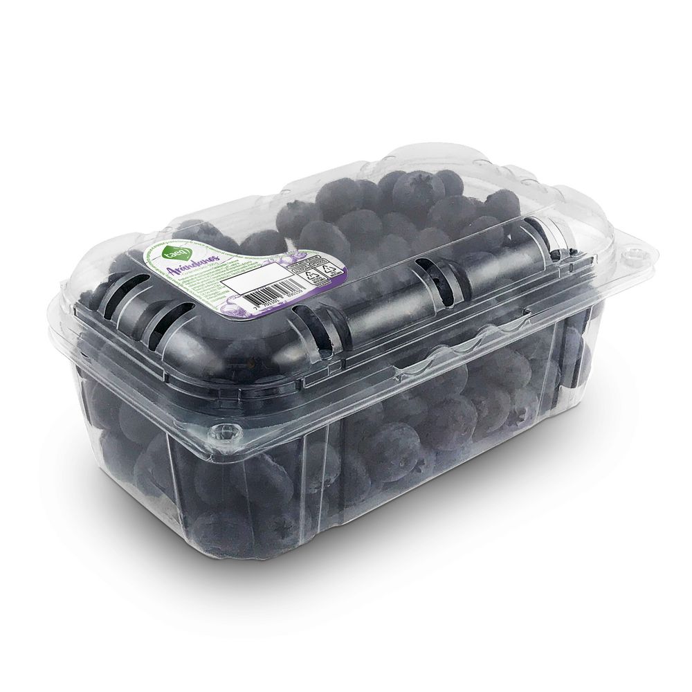 Arándanos TAEQ 500  gr img #1