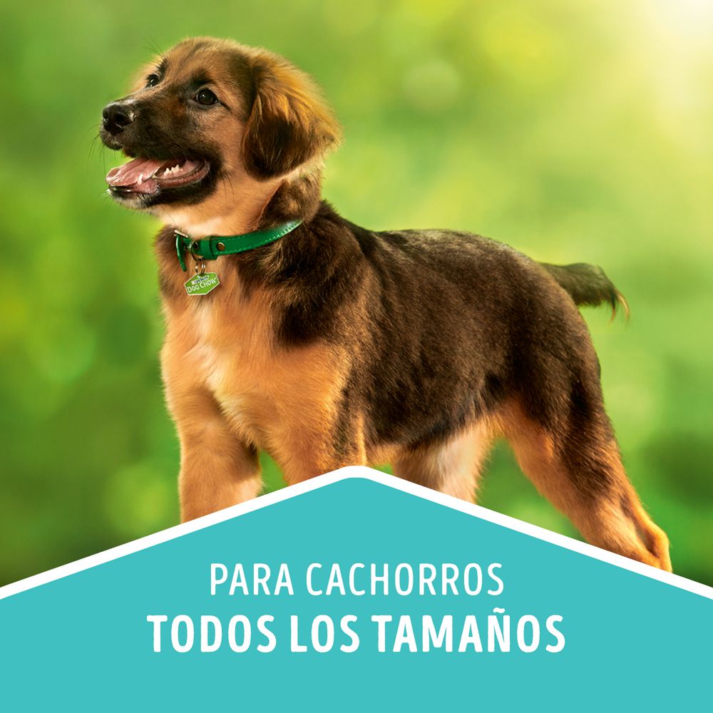 Comida para perros PURINA DOG CHOW cachorros medianos y grandes (4000  gr) img #5