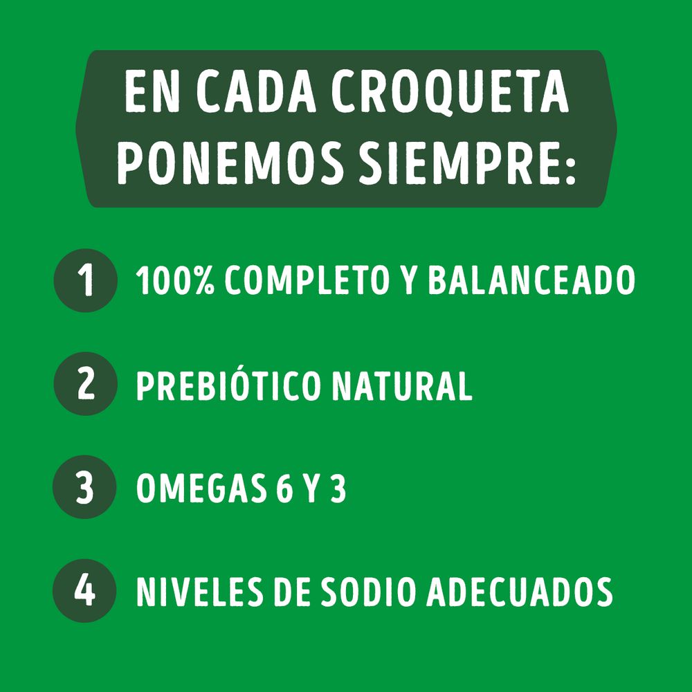 Comida para perros PURINA DOG CHOW cachorros medianos y grandes (4000  gr) img #8