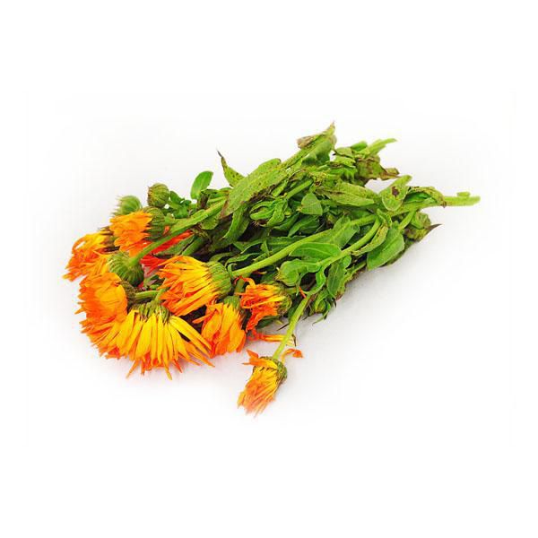 Calendula Fresco Capuchon  50  gr img #1