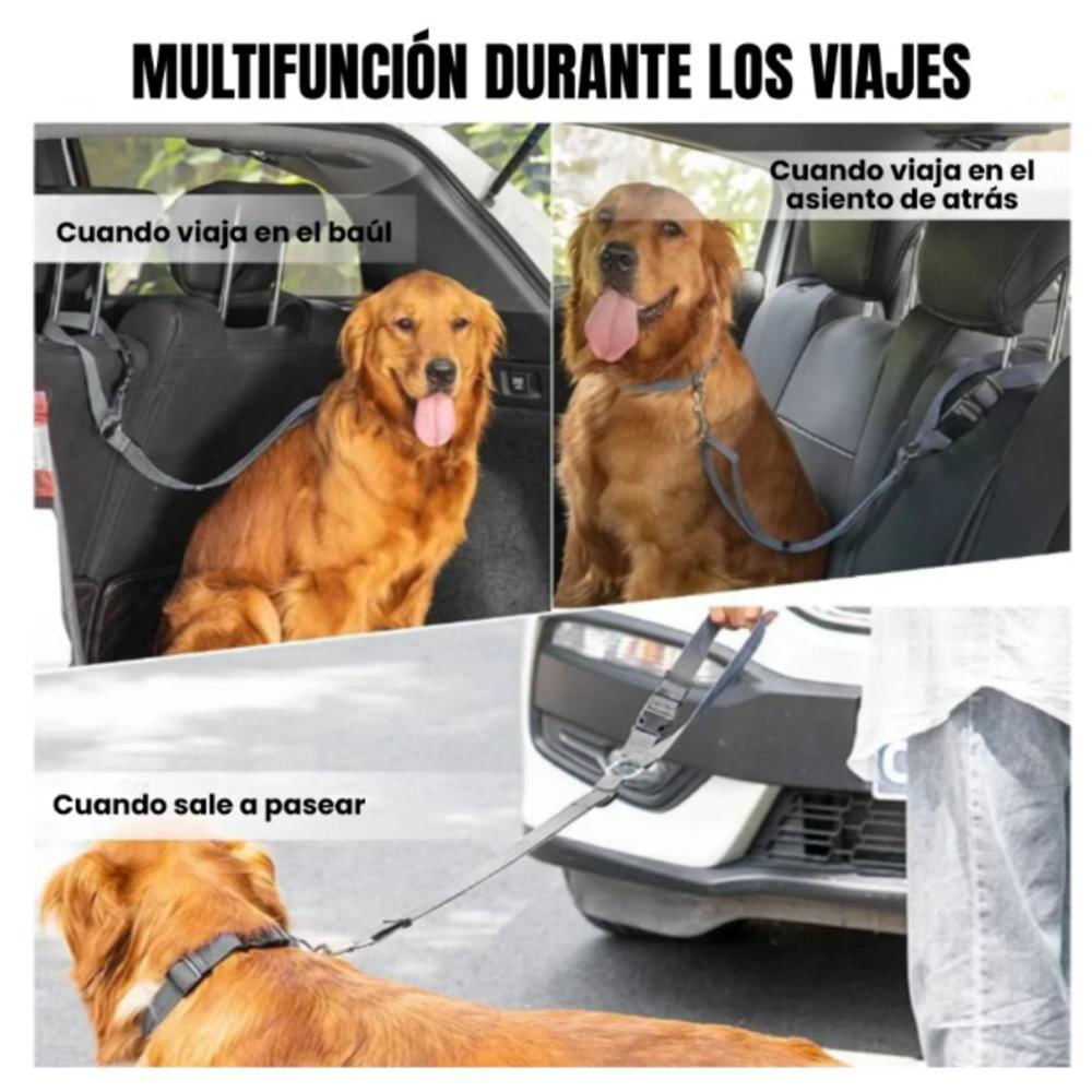 Correa Para Perro De Seguridad Para Auto img #4