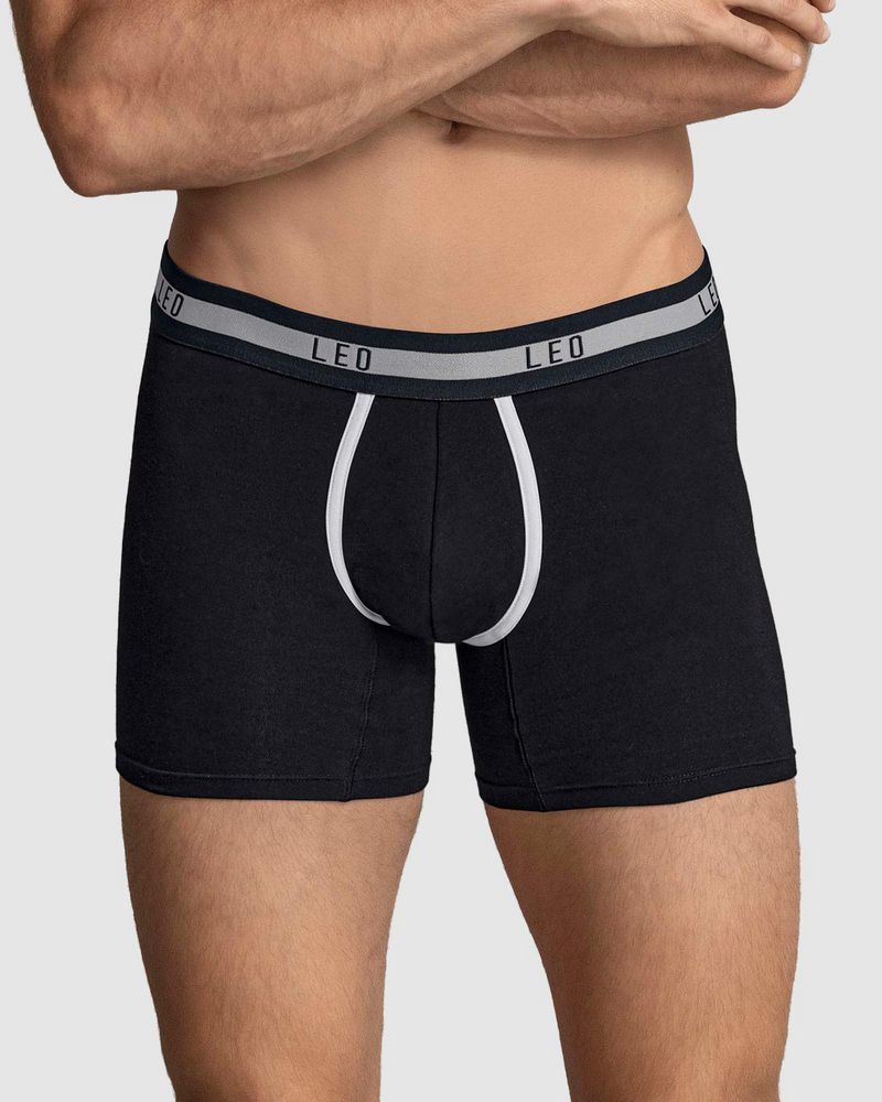 Boxer  LEO img #1