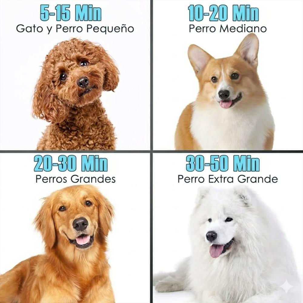 Secador De Pelo Multiusos Profesional Para Mascotas Potente img #5