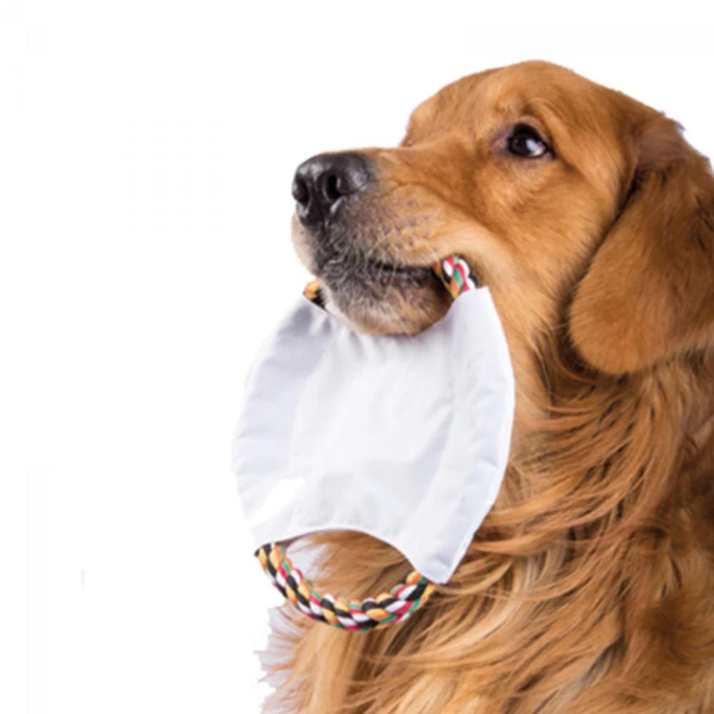 Frisbee Para Perros Con Limpieza Dental Y Pito Integrado img #2