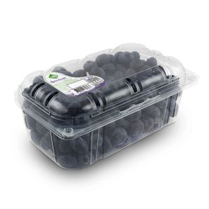 Arandanos TAEQ 500 gr