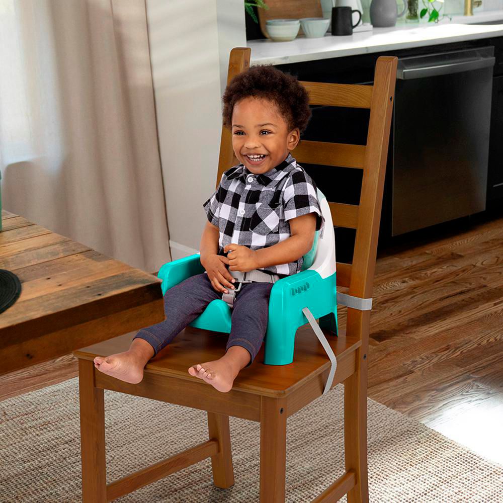 Silla Comedor Para Bebe 2 En 1 17462 BABY EINSTEIN img #2