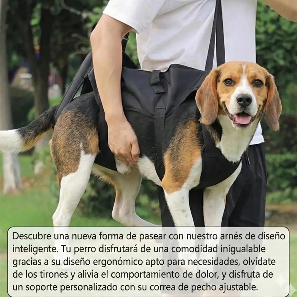Arnes Ortopedico Perros Pequeños M Apoyo Levantar Caminar img #4