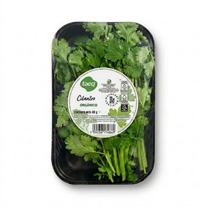 CILANTRO 40 gr