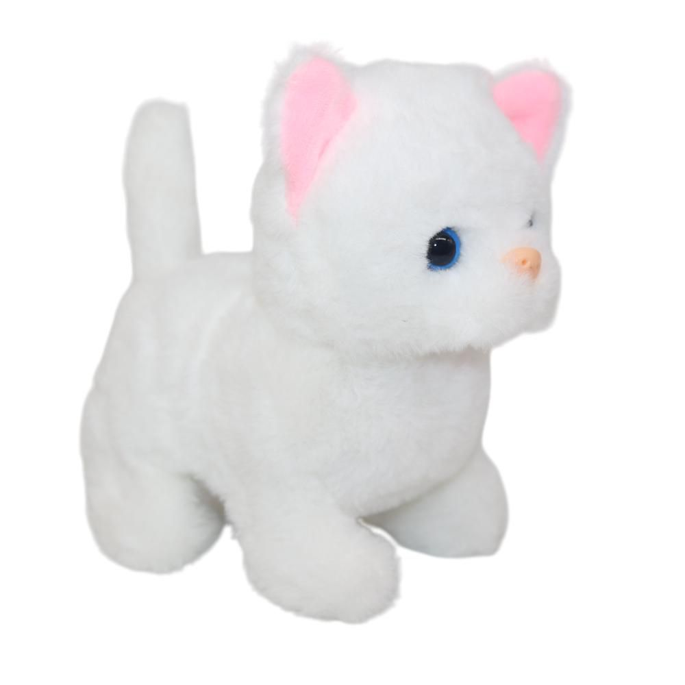 Gato  En Guacal  PLASTICOS ASOCIADOS img #4