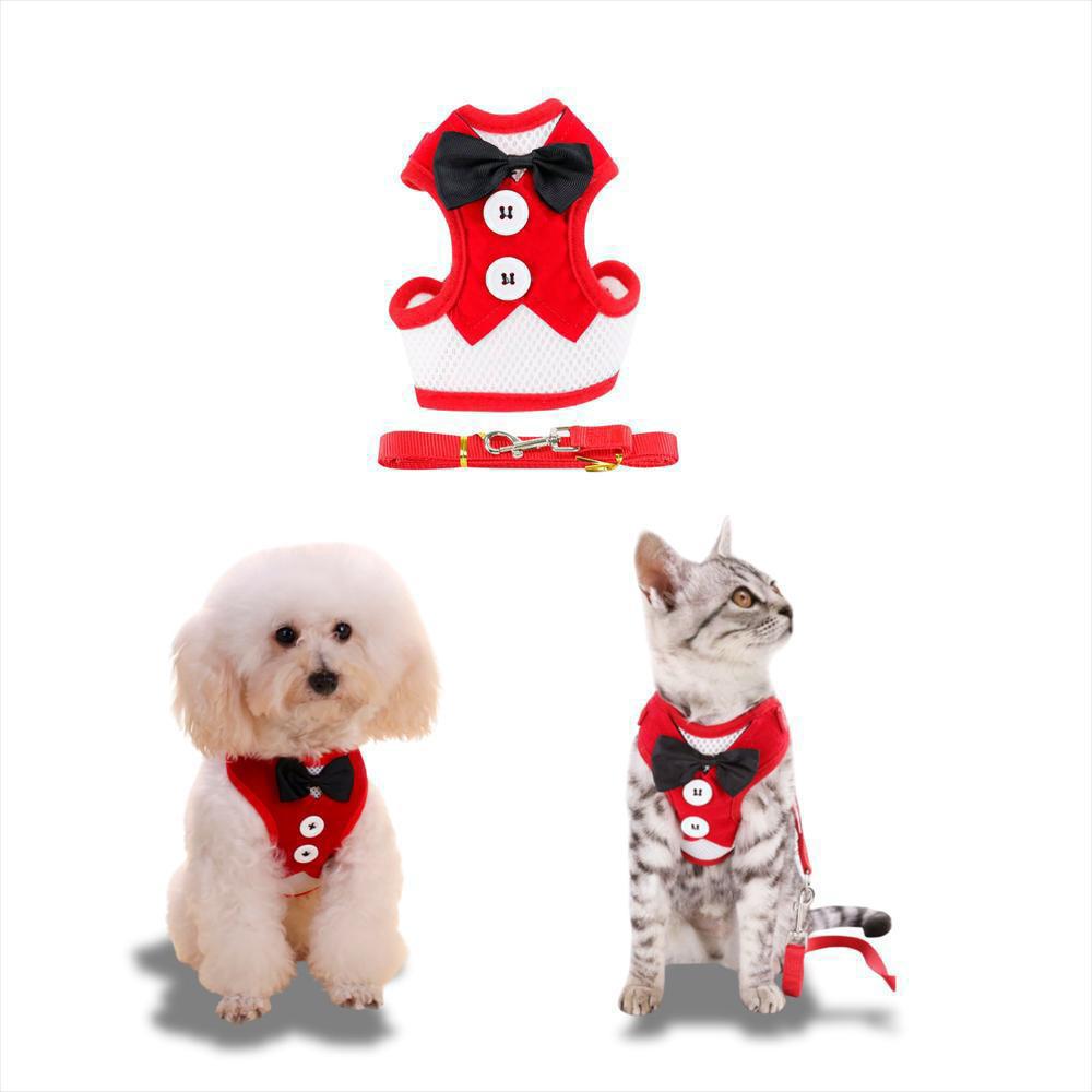 Arnés Ajustable Para Perro Y Gato Con Correa Talla M img #1