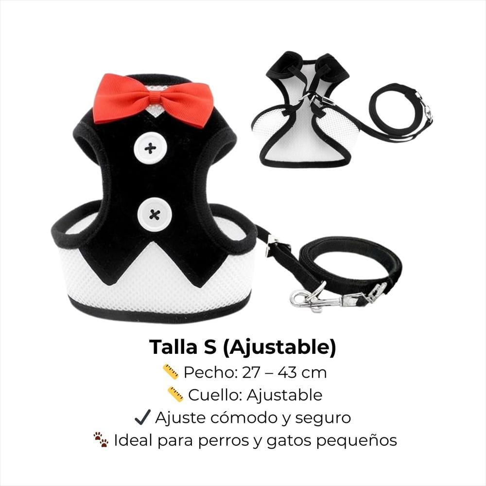 Arnés Ajustable Para Perro Y Gato Con Correa Negra Talla S Pequeña img #2