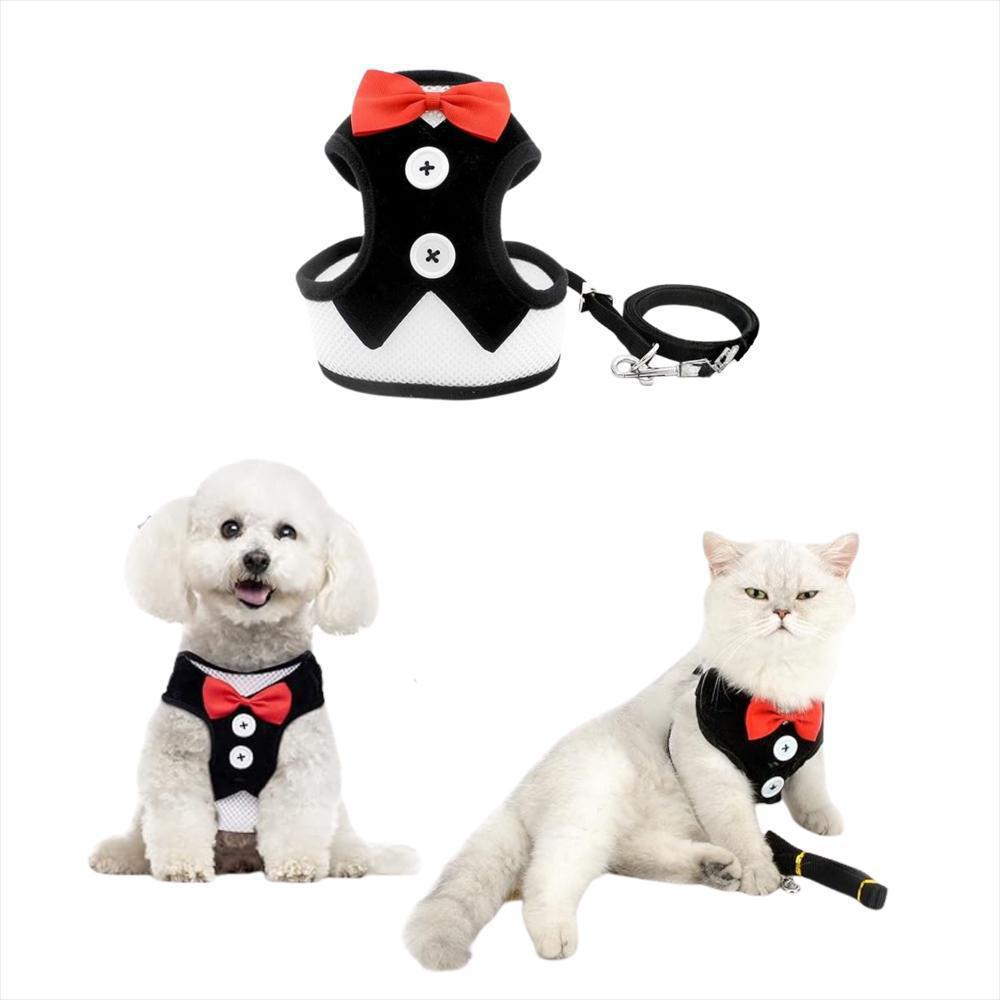 Arnés Ajustable Para Perro Y Gato Con Correa Negra Talla M img #1
