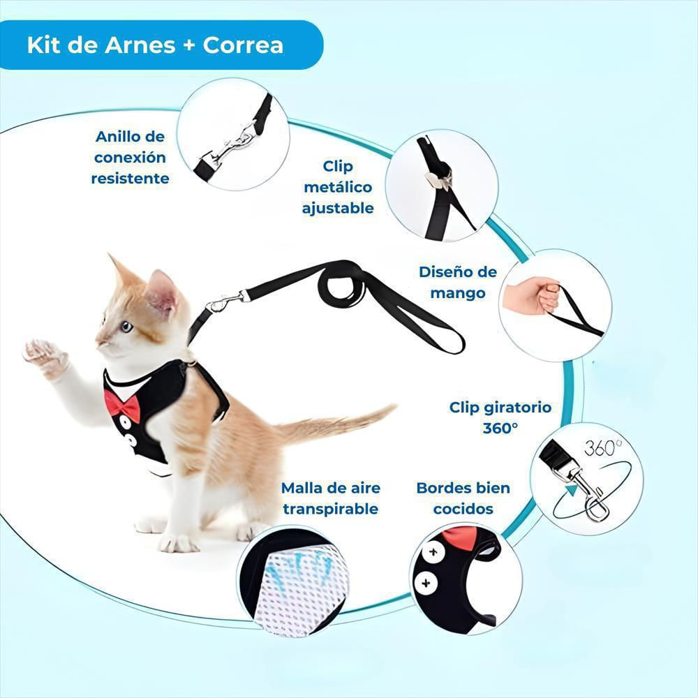 Arnés Ajustable Para Perro Y Gato Con Correa Negra Talla M img #3
